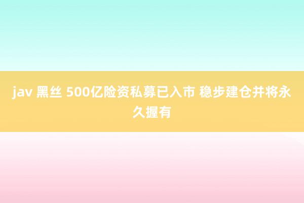 jav 黑丝 500亿险资私募已入市 稳步建仓并将永久握有