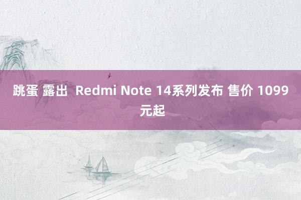 跳蛋 露出  Redmi Note 14系列发布 售价 1099 元起