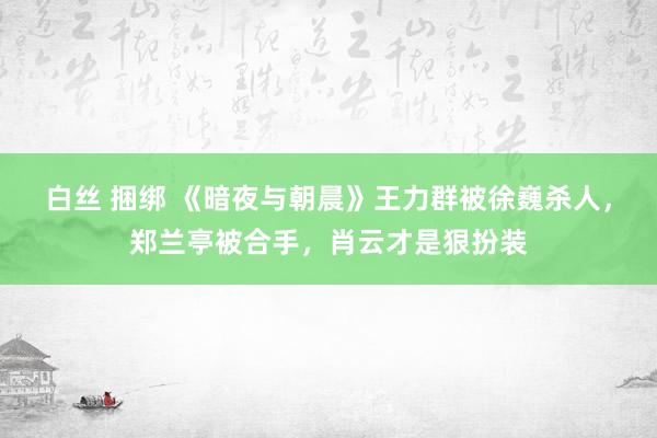 白丝 捆绑 《暗夜与朝晨》王力群被徐巍杀人，郑兰亭被合手，肖云才是狠扮装