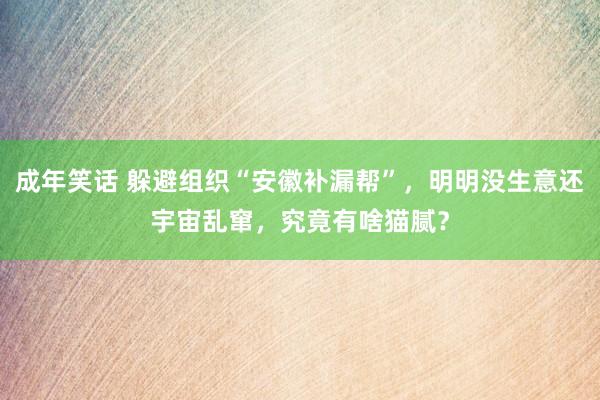 成年笑话 躲避组织“安徽补漏帮”，明明没生意还宇宙乱窜，究竟有啥猫腻？