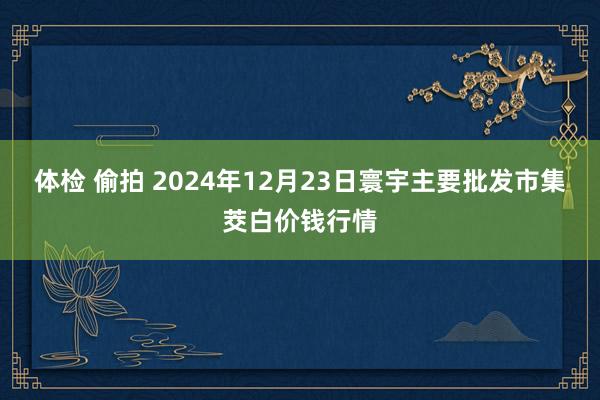 体检 偷拍 2024年12月23日寰宇主要批发市集茭白价钱行情
