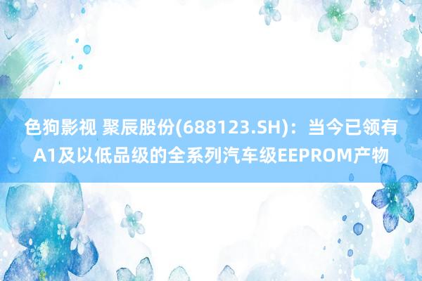 色狗影视 聚辰股份(688123.SH)：当今已领有A1及以低品级的全系列汽车级EEPROM产物