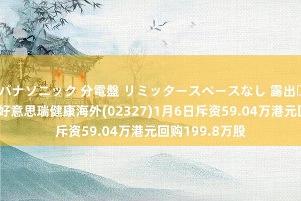 パナソニック 分電盤 リミッタースペースなし 露出・半埋込両用形 好意思瑞健康海外(02327)1月6日斥资59.04万港元回购199.8万股