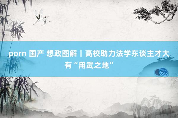 porn 国产 想政图解丨高校助力法学东谈主才大有“用武之地”