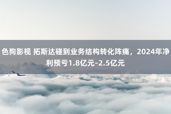 色狗影视 拓斯达碰到业务结构转化阵痛，2024年净利预亏1.8亿元–2.5亿元