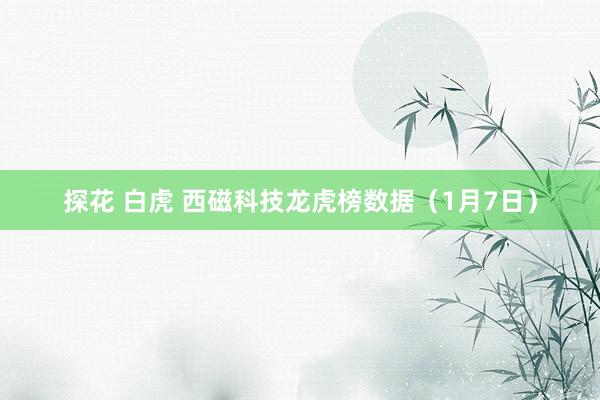 探花 白虎 西磁科技龙虎榜数据（1月7日）