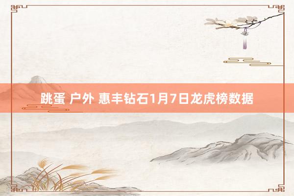 跳蛋 户外 惠丰钻石1月7日龙虎榜数据