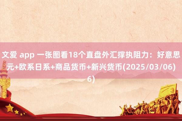 文爱 app 一张图看18个直盘外汇撑执阻力：好意思元+欧系日系+商品货币+新兴货币(2025/03/06)