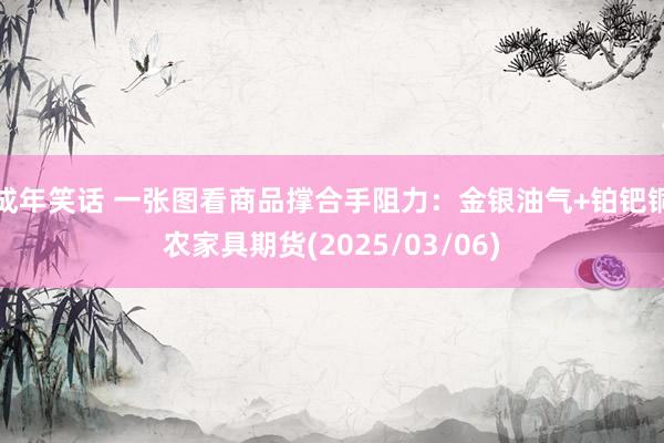 成年笑话 一张图看商品撑合手阻力：金银油气+铂钯铜农家具期货(2025/03/06)