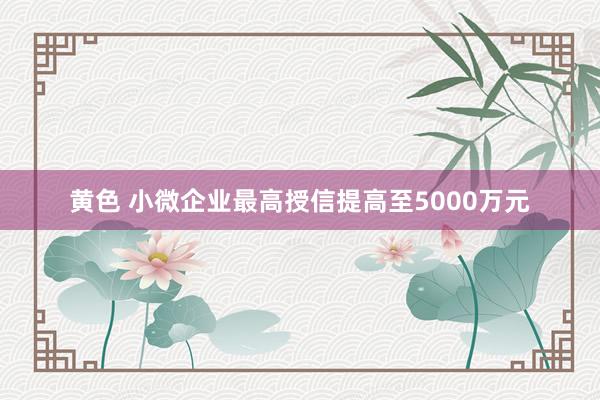 黄色 小微企业最高授信提高至5000万元