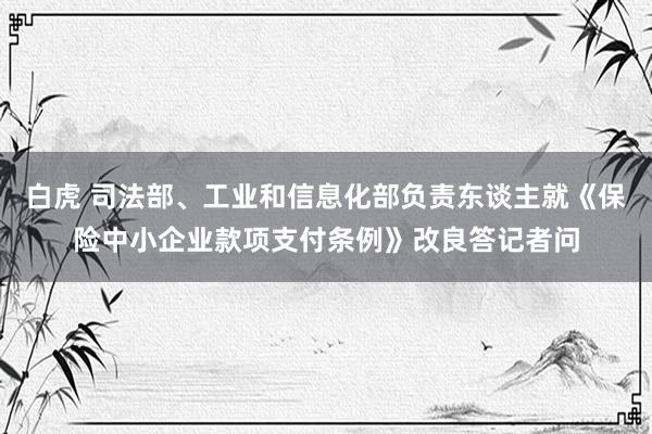 白虎 司法部、工业和信息化部负责东谈主就《保险中小企业款项支付条例》改良答记者问