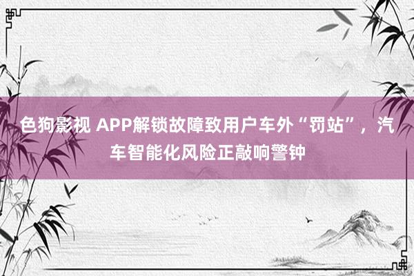 色狗影视 APP解锁故障致用户车外“罚站”，汽车智能化风险正敲响警钟