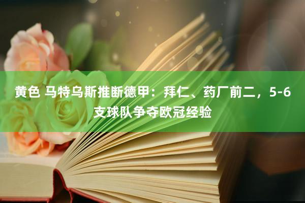 黄色 马特乌斯推断德甲：拜仁、药厂前二，5-6支球队争夺欧冠经验