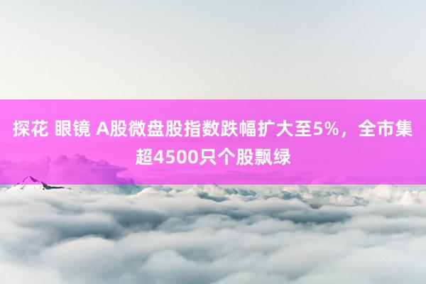 探花 眼镜 A股微盘股指数跌幅扩大至5%，全市集超4500只个股飘绿