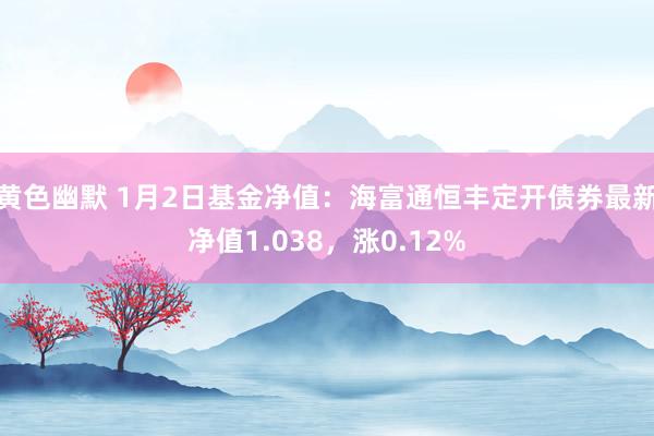 黄色幽默 1月2日基金净值：海富通恒丰定开债券最新净值1.038，涨0.12%