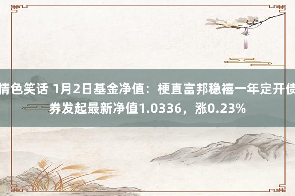 情色笑话 1月2日基金净值：梗直富邦稳禧一年定开债券发起最新净值1.0336，涨0.23%