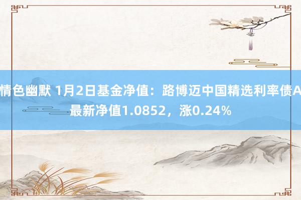 情色幽默 1月2日基金净值：路博迈中国精选利率债A最新净值1.0852，涨0.24%
