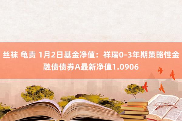 丝袜 龟责 1月2日基金净值：祥瑞0-3年期策略性金融债债券A最新净值1.0906