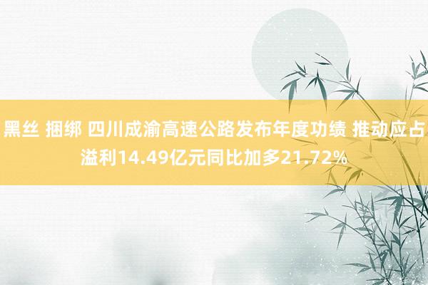 黑丝 捆绑 四川成渝高速公路发布年度功绩 推动应占溢利14.49亿元同比加多21.72%