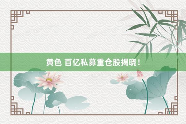 黄色 百亿私募重仓股揭晓！