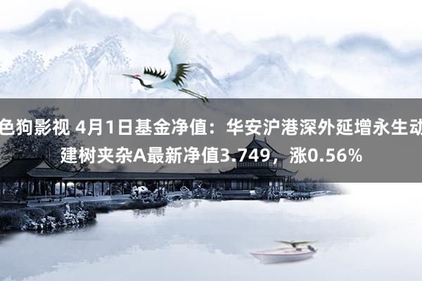 色狗影视 4月1日基金净值：华安沪港深外延增永生动建树夹杂A最新净值3.749，涨0.56%
