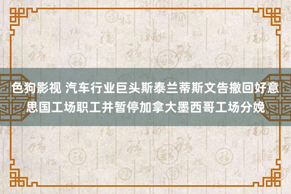 色狗影视 汽车行业巨头斯泰兰蒂斯文告撤回好意思国工场职工并暂停加拿大墨西哥工场分娩