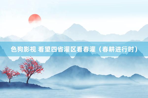 色狗影视 看望四省灌区看春灌（春耕进行时）