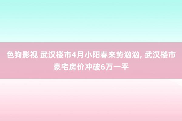色狗影视 武汉楼市4月小阳春来势汹汹， 武汉楼市豪宅房价冲破6万一平