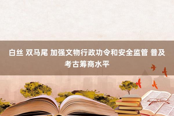 白丝 双马尾 加强文物行政功令和安全监管 普及考古筹商水平