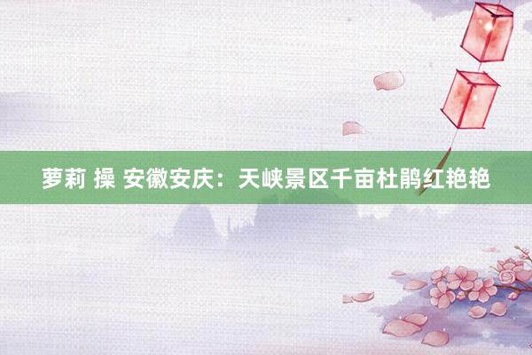 萝莉 操 安徽安庆：天峡景区千亩杜鹃红艳艳