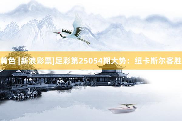 黄色 [新浪彩票]足彩第25054期大势：纽卡斯尔客胜
