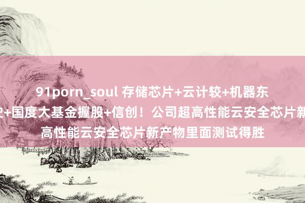 91porn_soul 存储芯片+云计较+机器东谈主+无东谈主驾驶+国度大基金握股+信创！公司超高性能云安全芯片新产物里面测试得胜