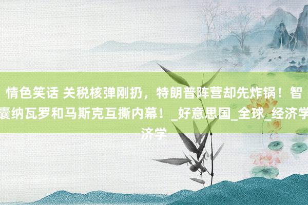 情色笑话 关税核弹刚扔，特朗普阵营却先炸锅！智囊纳瓦罗和马斯克互撕内幕！_好意思国_全球_经济学