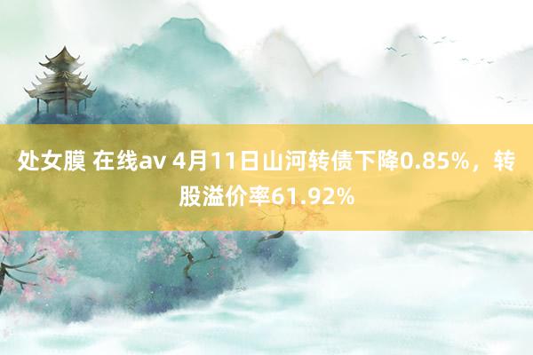 处女膜 在线av 4月11日山河转债下降0.85%，转股溢价率61.92%