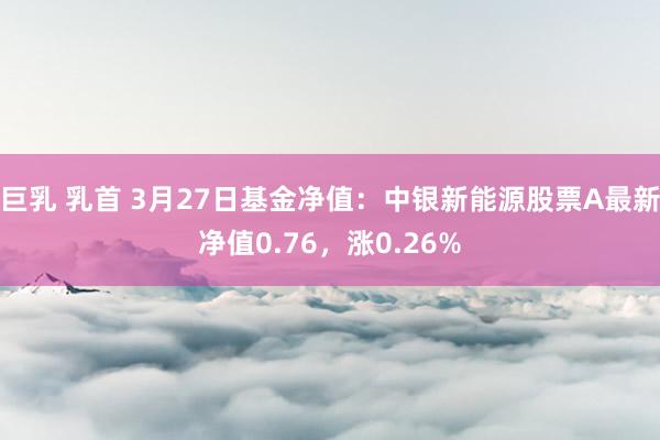 巨乳 乳首 3月27日基金净值：中银新能源股票A最新净值0.76，涨0.26%