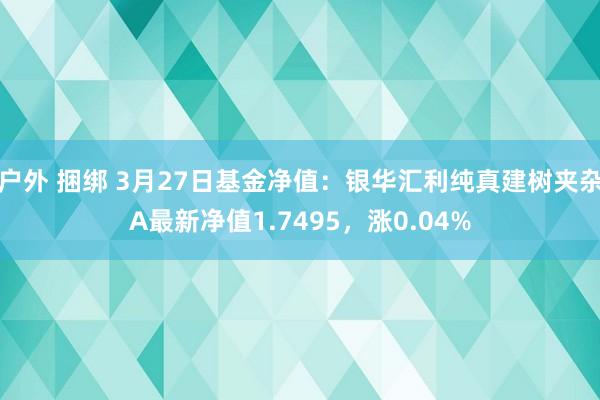 户外 捆绑 3月27日基金净值：银华汇利纯真建树夹杂A最新净值1.7495，涨0.04%