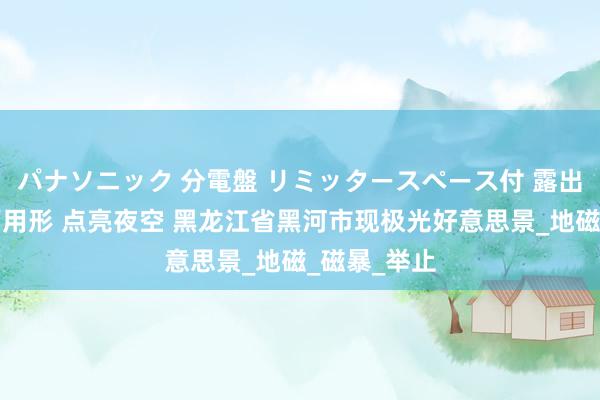 パナソニック 分電盤 リミッタースペース付 露出・半埋込両用形 点亮夜空 黑龙江省黑河市现极光好意思景_地磁_磁暴_举止