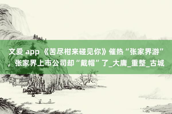 文爱 app 《苦尽柑来碰见你》催热“张家界游”，张家界上市公司却“戴帽”了_大庸_重整_古城