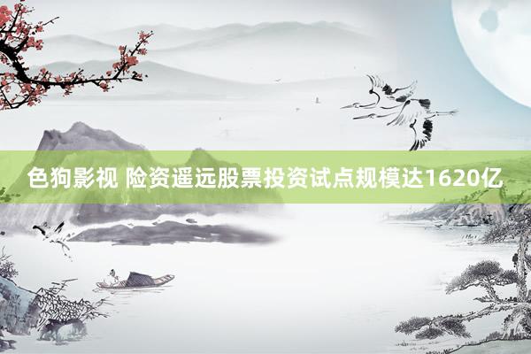 色狗影视 险资遥远股票投资试点规模达1620亿