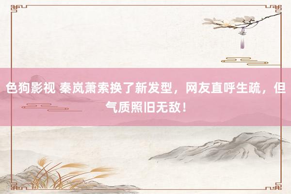 色狗影视 秦岚萧索换了新发型，网友直呼生疏，但气质照旧无敌！