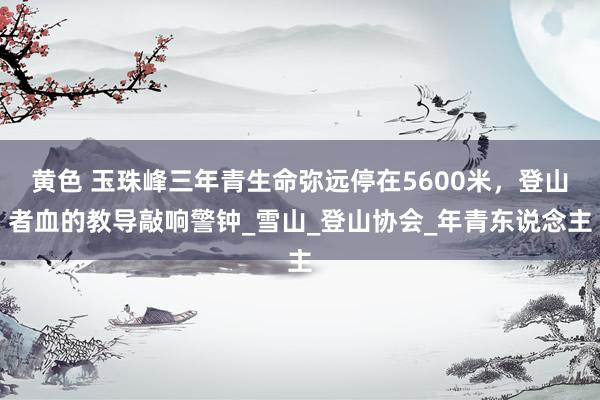 黄色 玉珠峰三年青生命弥远停在5600米，登山者血的教导敲响警钟_雪山_登山协会_年青东说念主