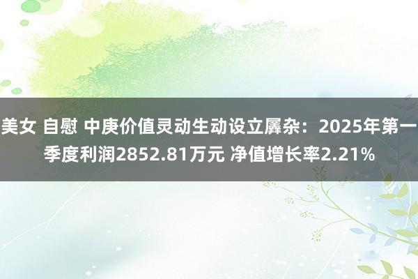 美女 自慰 中庚价值灵动生动设立羼杂：2025年第一季度利润2852.81万元 净值增长率2.21%