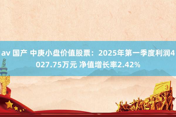 av 国产 中庚小盘价值股票：2025年第一季度利润4027.75万元 净值增长率2.42%