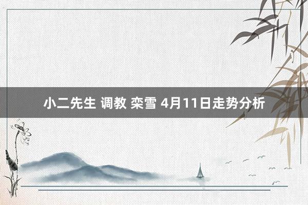 小二先生 调教 栾雪 4月11日走势分析