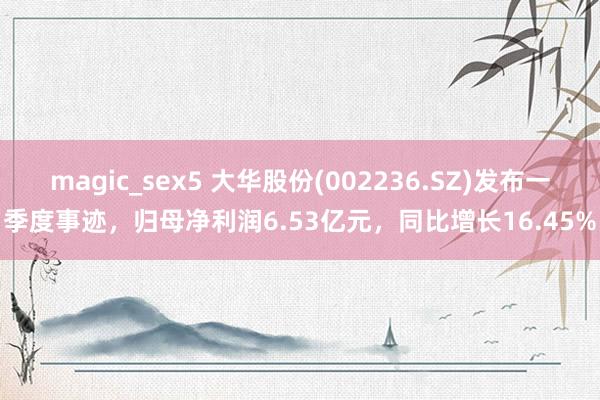 magic_sex5 大华股份(002236.SZ)发布一季度事迹，归母净利润6.53亿元，同比增长16.45%
