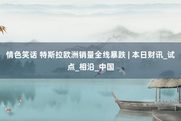 情色笑话 特斯拉欧洲销量全线暴跌 | 本日财讯_试点_相沿_中国