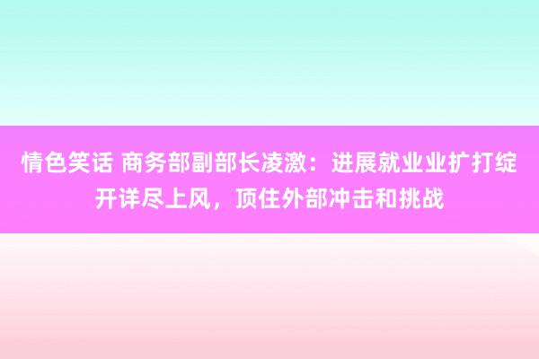 情色笑话 商务部副部长凌激：进展就业业扩打绽开详尽上风，顶住外部冲击和挑战