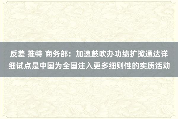 反差 推特 商务部：加速鼓吹办功绩扩掀通达详细试点是中国为全国注入更多细则性的实质活动