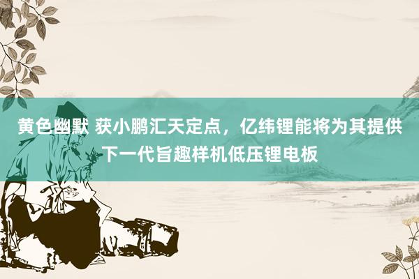 黄色幽默 获小鹏汇天定点，亿纬锂能将为其提供下一代旨趣样机低压锂电板