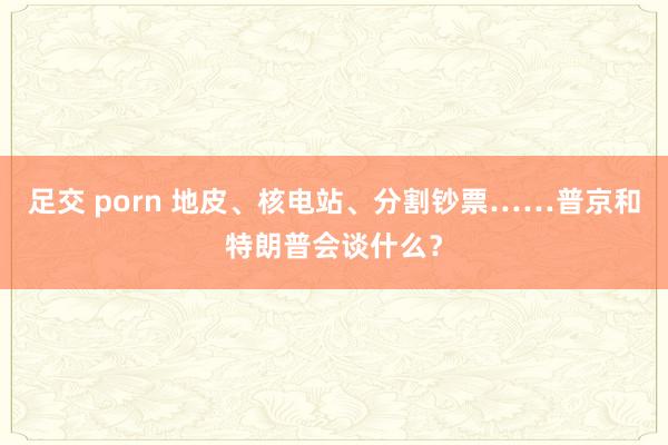 足交 porn 地皮、核电站、分割钞票……普京和特朗普会谈什么？